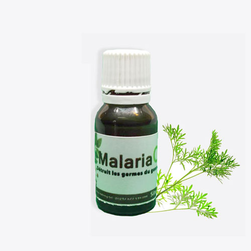 Malaria Huile  Essentielle